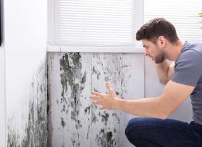 Why Has External Wall Insulation Made My Home Damp?
