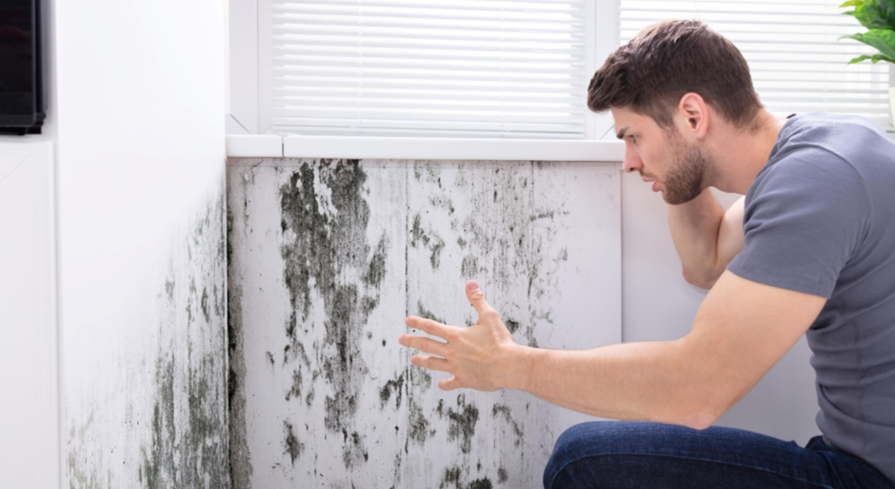 Why Has External Wall Insulation Made My Home Damp?