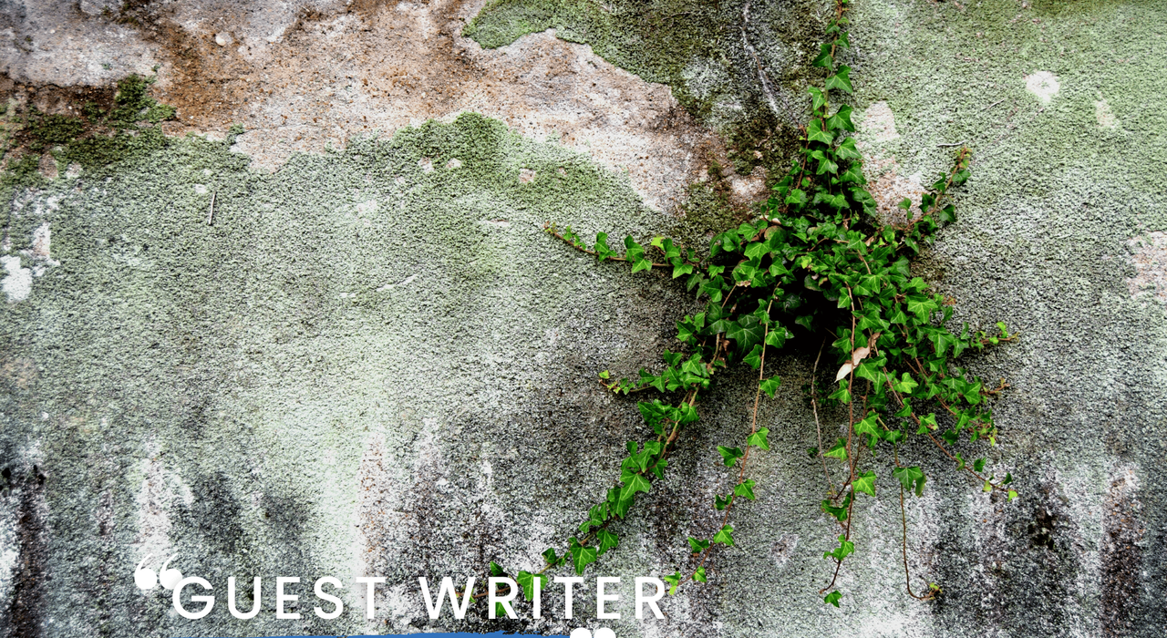 Close-up of a weathered and algae-stained exterior wall with ivy growth penetrating the surface—clear signs of moisture ingress and poor façade protection. External wall insulation and render systems from EWI Store help prevent this type of biological growth and long-term damage.