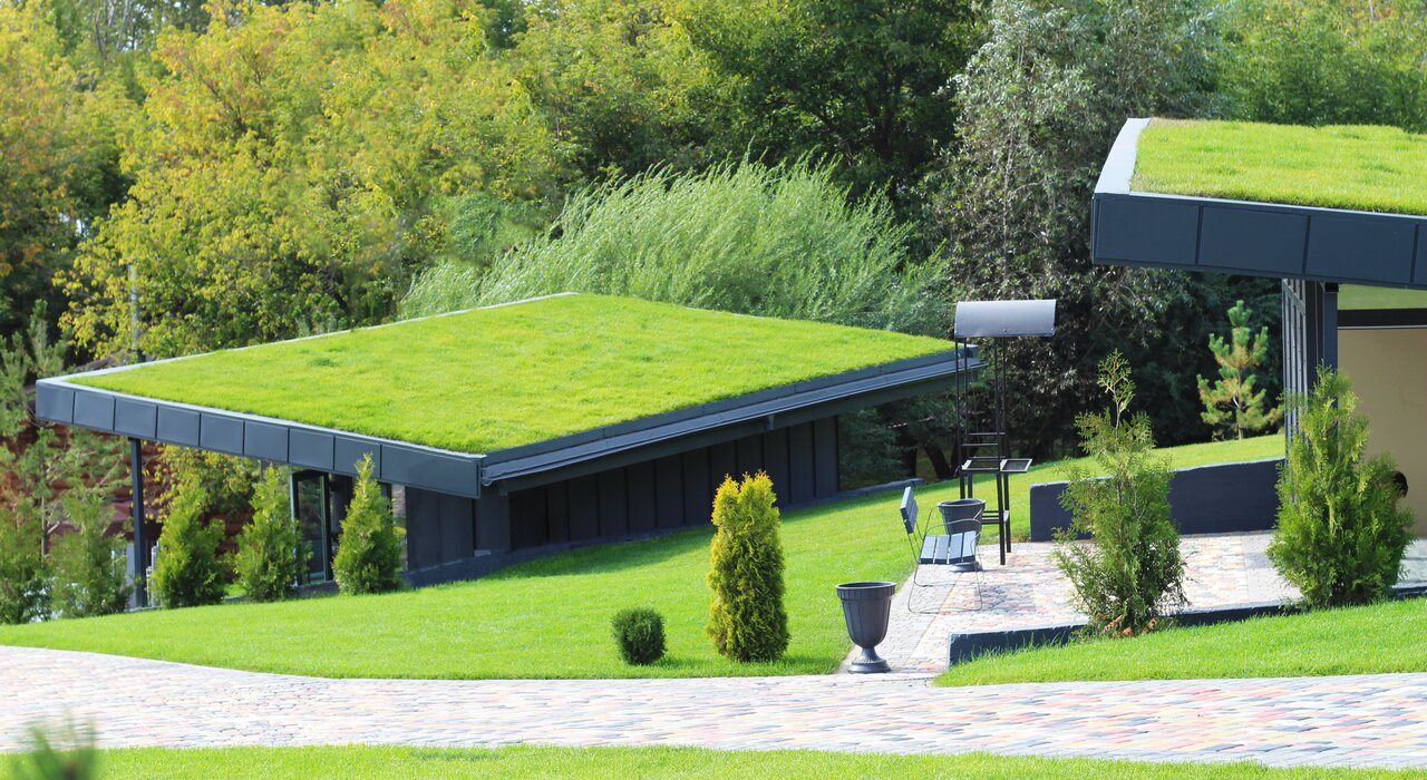 Modern eco-friendly buildings with green roofs integrated into a landscaped setting. These living roofs help regulate temperature, reduce rainwater runoff, and support biodiversity. When combined with external wall insulation systems from EWI Store, they contribute to highly energy-efficient and sustainable building envelopes.