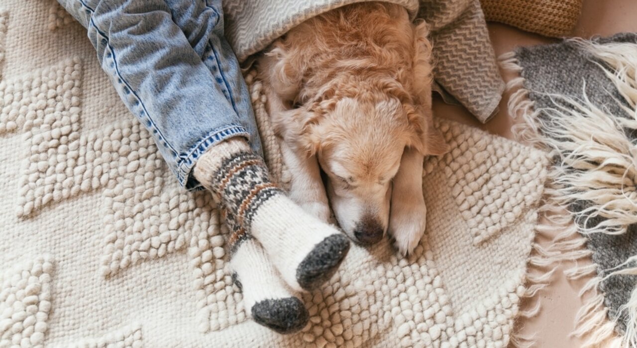 Why is My House So Cold?