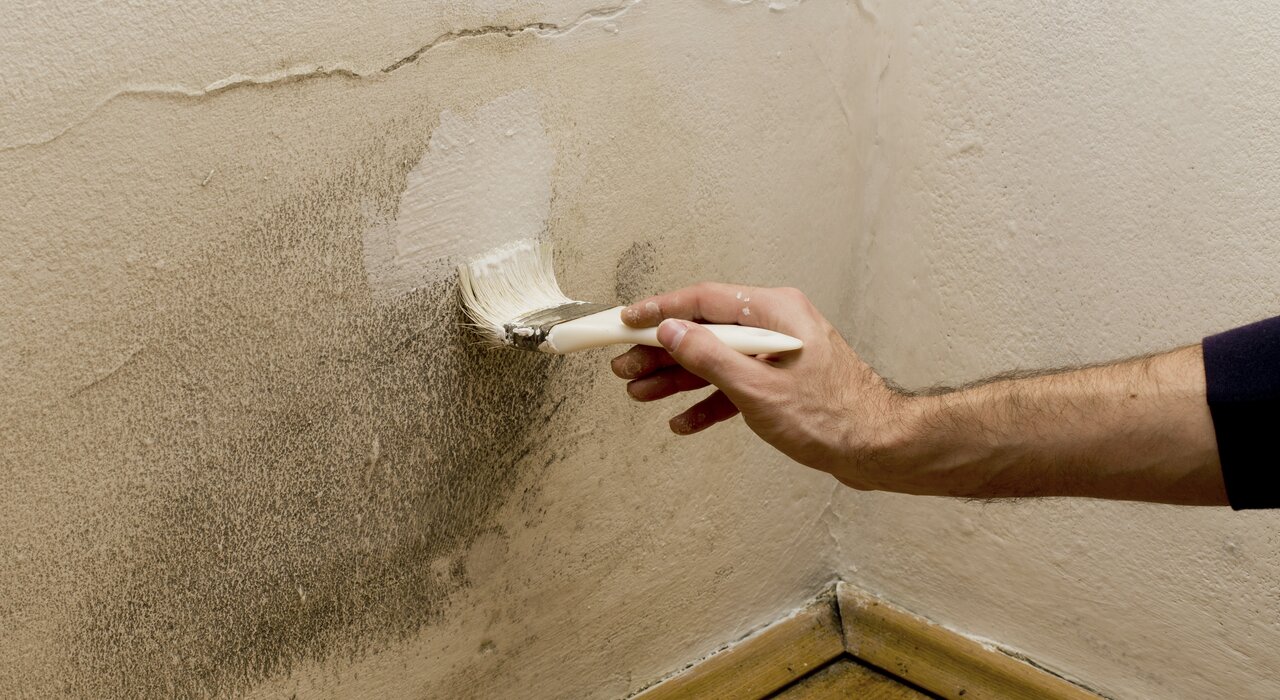 Application of anti-mould treatment over interior wall dampness. Addressing condensation issues is vital before installing external wall insulation. EWI Store provides breathable plasters, primers, and finishes for long-term protection.