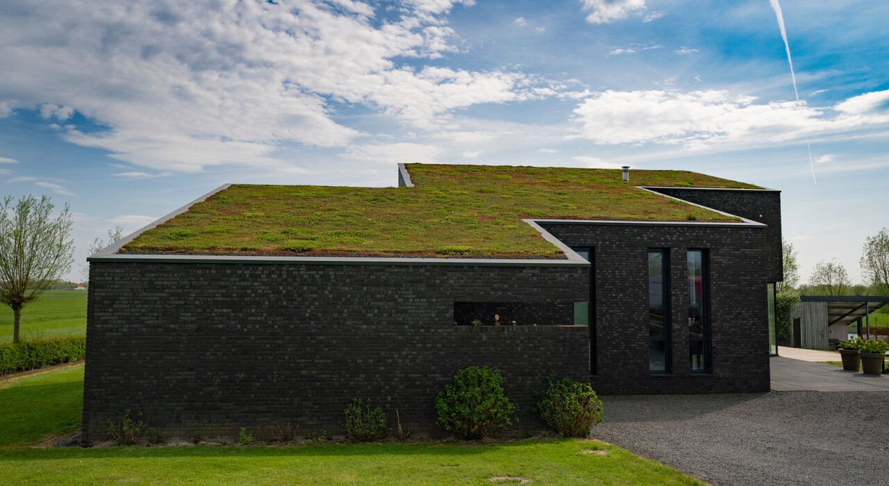 Contemporary home with a green roof system, surrounded by open landscape. EWI Store supports eco-friendly building solutions, offering breathable insulation systems and sustainable materials to enhance energy efficiency and environmental performance.