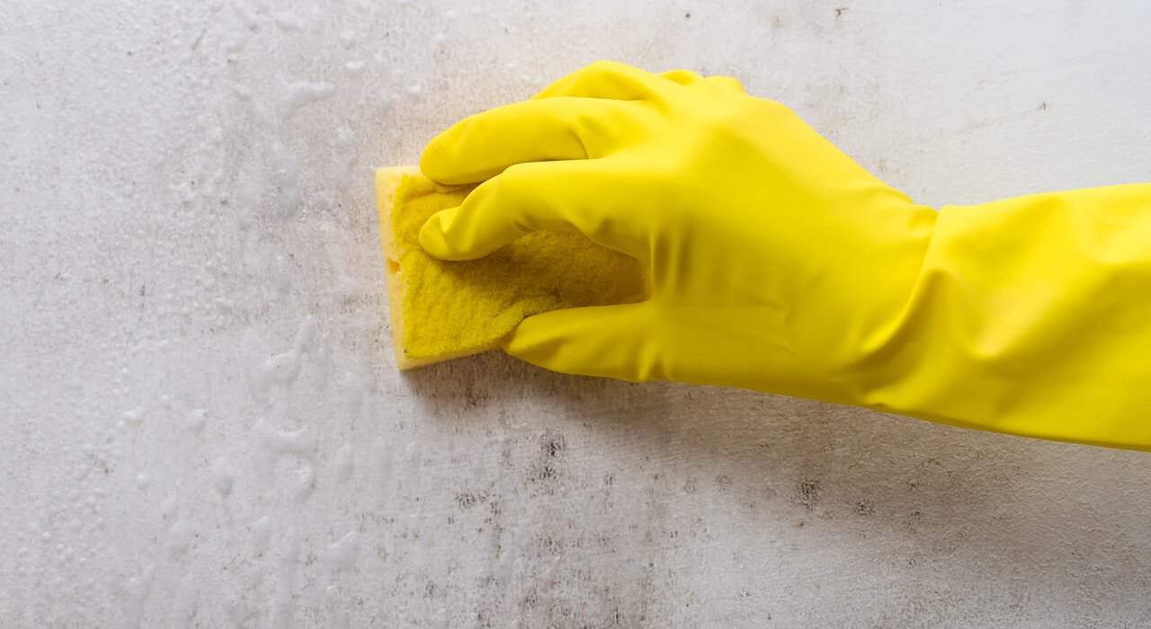 Hand in yellow glove cleaning mould from a wall surface. EWI Store offers effective fungicidal solutions and cleaning agents to prepare surfaces before EWI installation, helping ensure strong adhesion and long-term finish durability.