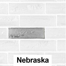 Elabrick Brick Slip Samples - Nebraska Nebraska