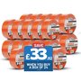 EWI Store EWI Store - Rendering Tape - Orange 48mm x 50m Box of 24 tapes Box of 24 tapes