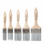  5 Piece Flat Paint Brush Set