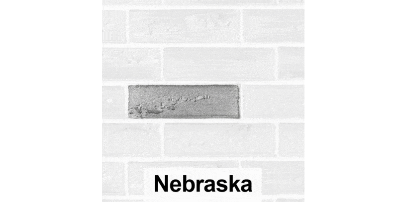 Elastolith Nebraska Brick Slip