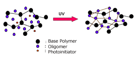 With UV irradiation, oligomers make cross -linked structure by the polymerization reaction. Therefore, Adhesive becomes hard and loses adhesive strength.