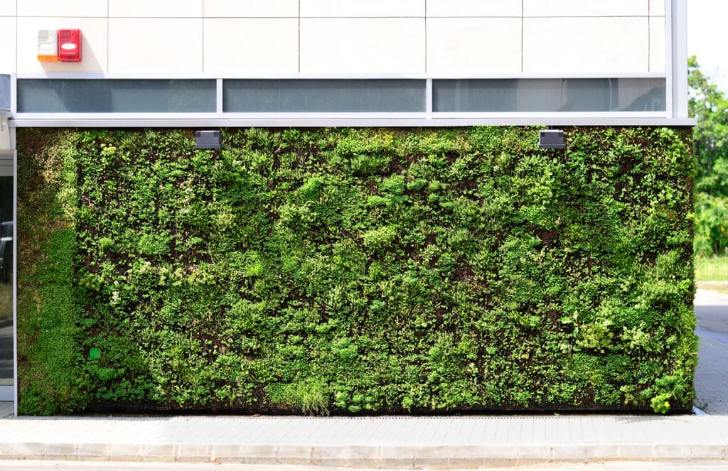 Living wall on the external of a building