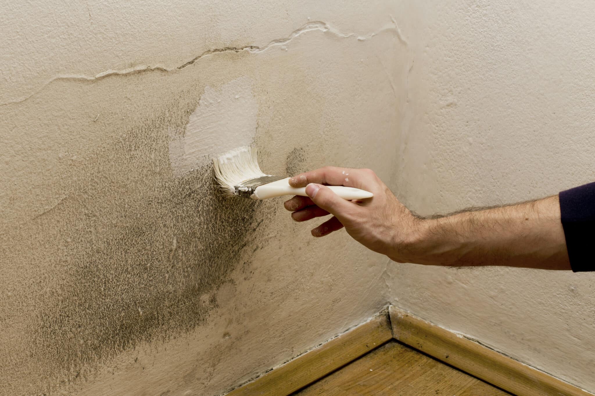 Painting Over Damp Walls - Is it a Solution?