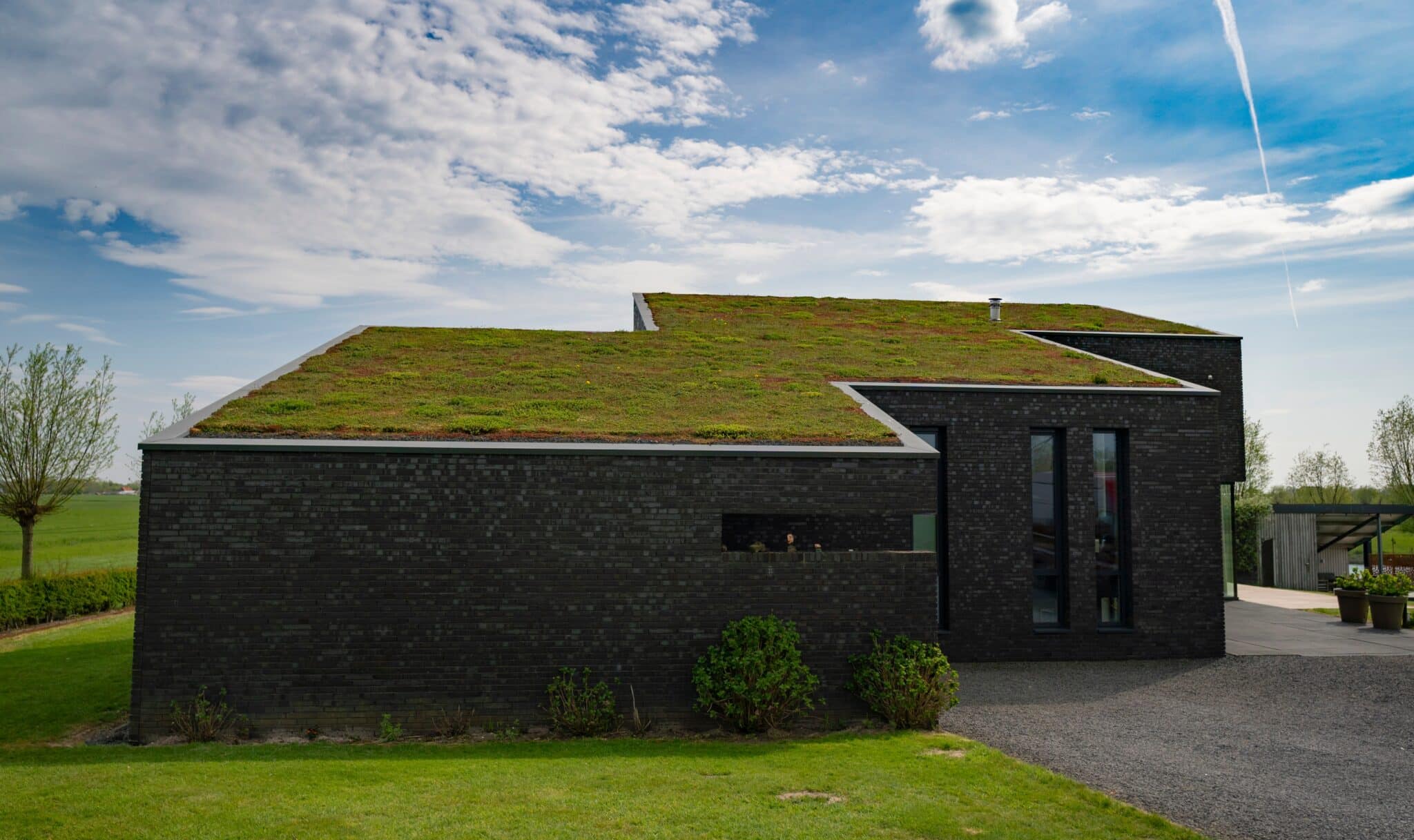 green roof